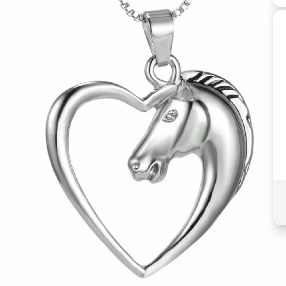 Beautiful Silver horse 💙 necklace